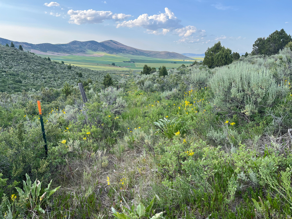  Grace, ID 83241