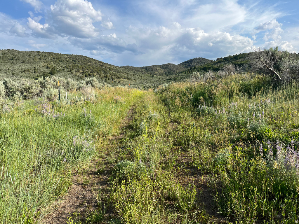  Grace, ID 83241