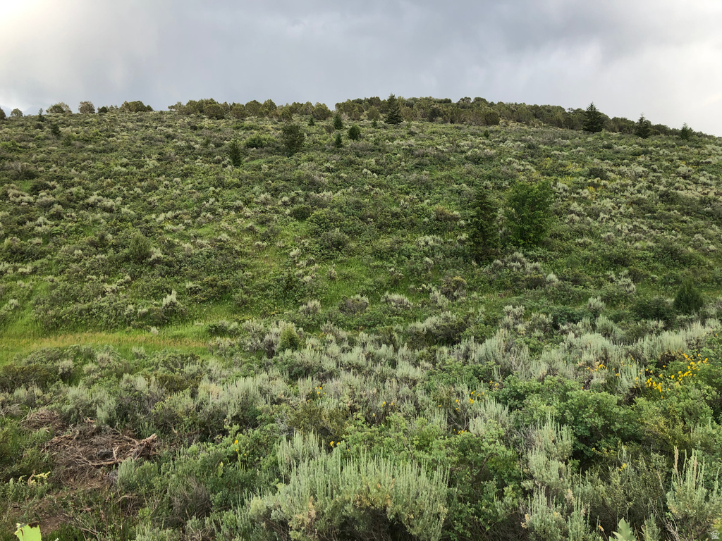  Grace, ID 83241