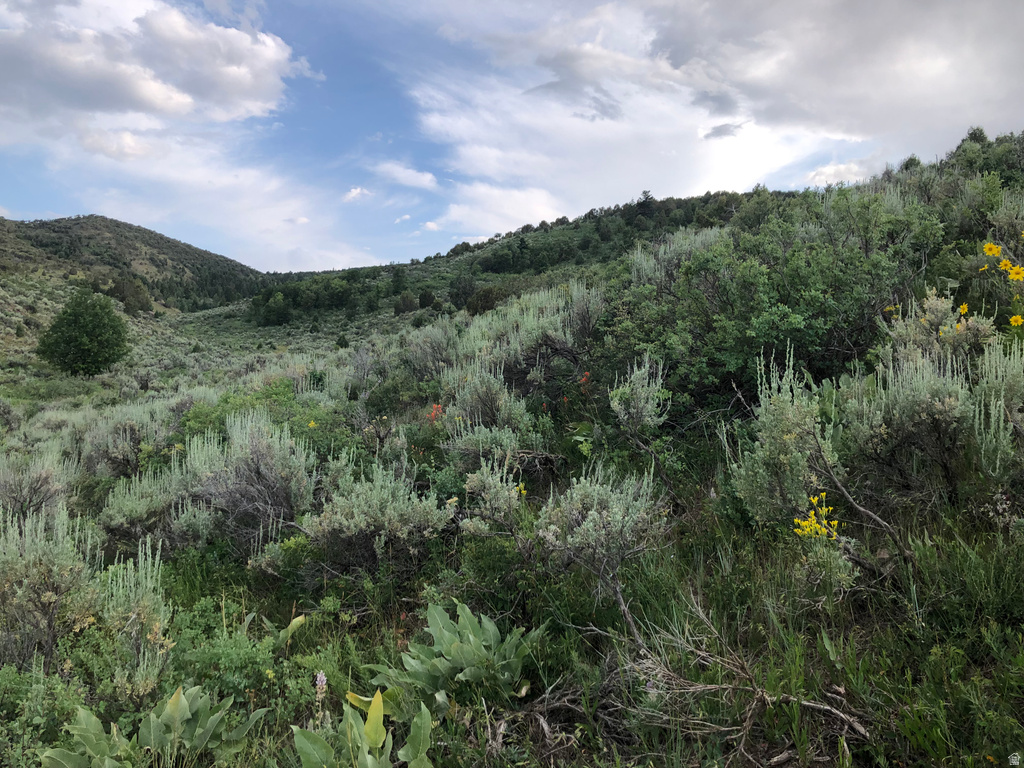  Grace, ID 83241