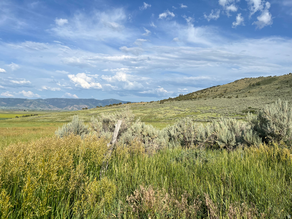  Grace, ID 83241