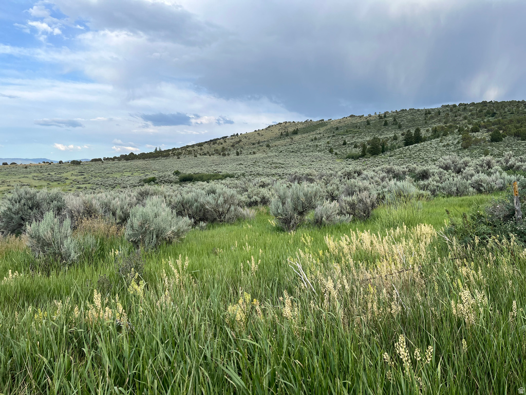  Grace, ID 83241