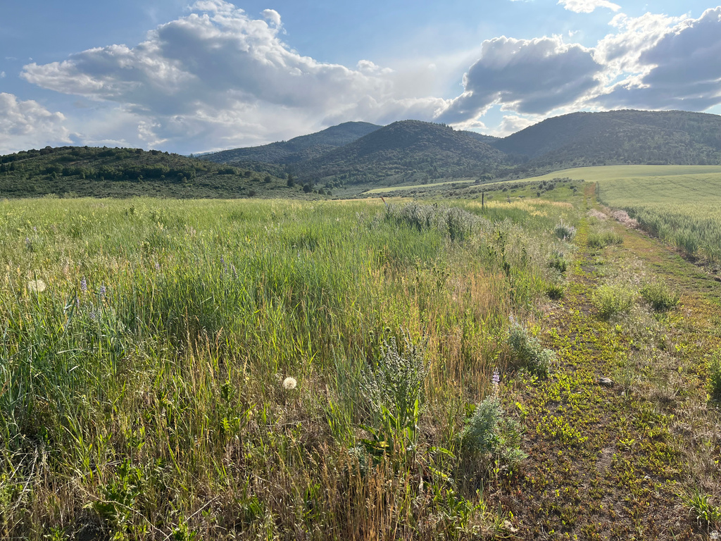  Grace, ID 83241