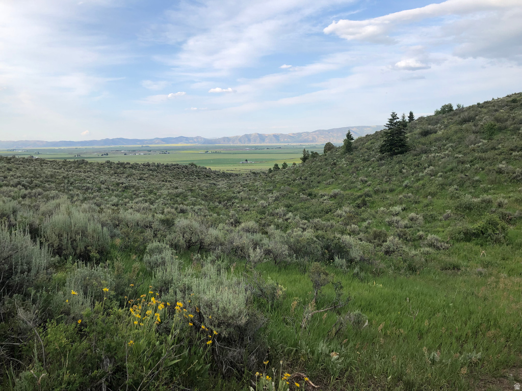  Grace, ID 83241