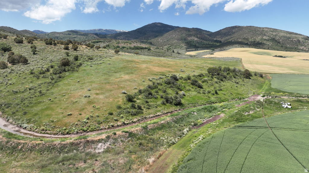  Grace, ID 83241
