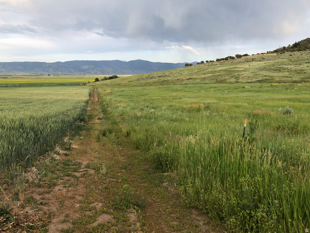  Grace, ID 83241