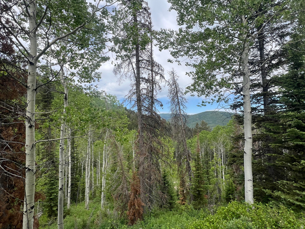 8550 N UINTA DR Oakley, UT 84055