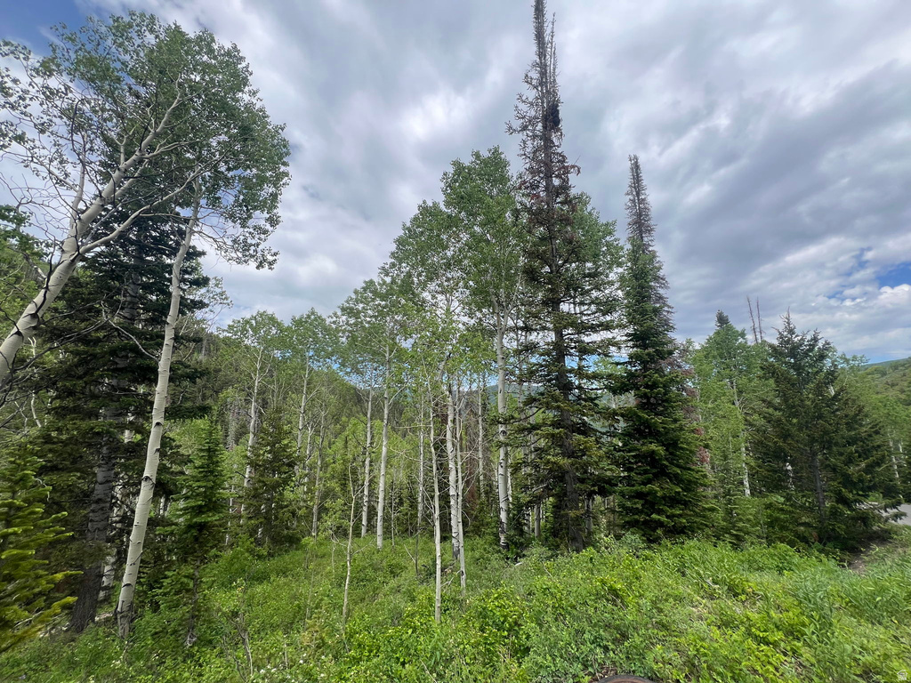 8550 N UINTA DR Oakley, UT 84055