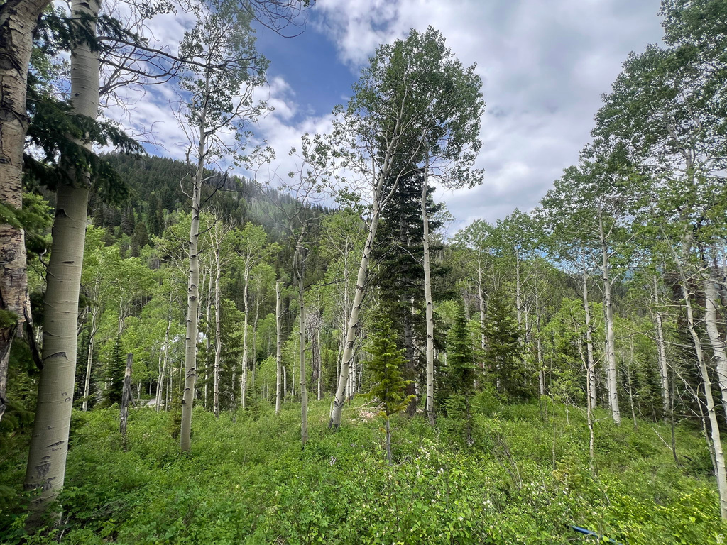 8550 N UINTA DR Oakley, UT 84055