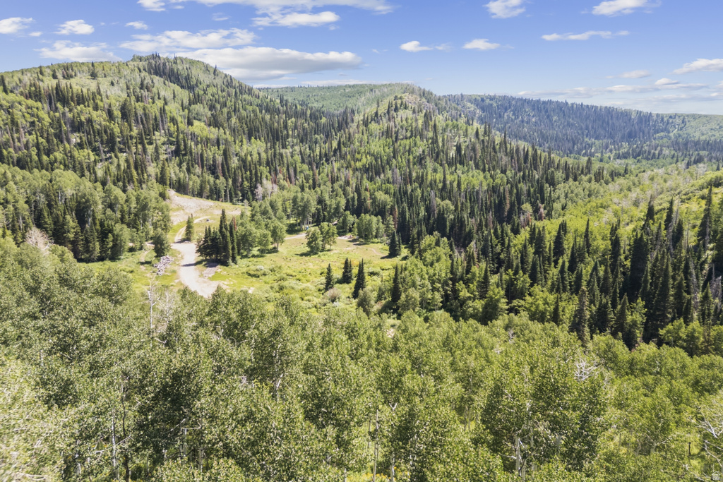 3526 S BLUE SPRUCE DR #1700 Heber City, UT 84032
