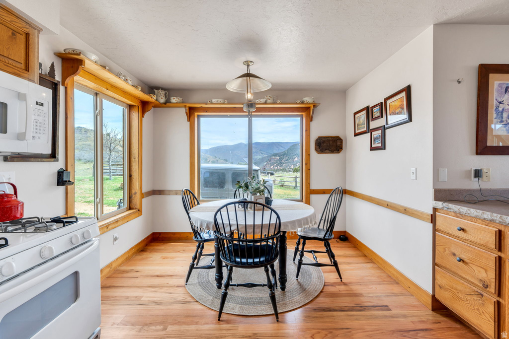 9795 E 7777 S Spanish Fork, UT 84660