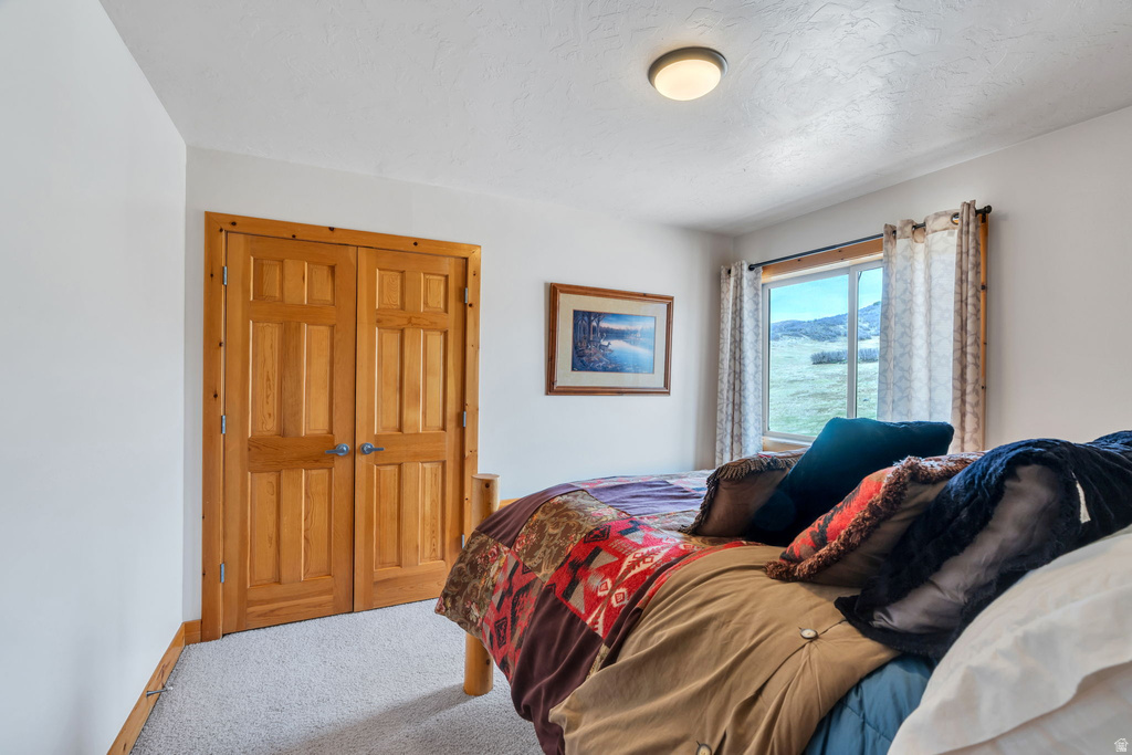 9795 E 7777 S Spanish Fork, UT 84660