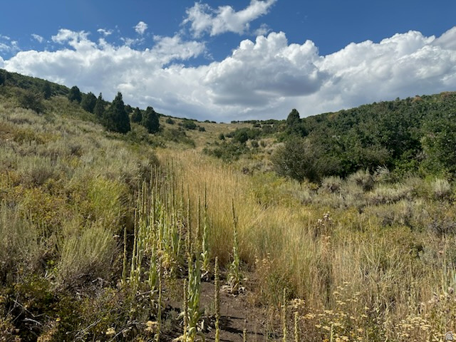 WOODLAND VIEW DR DR Woodland, UT 84036