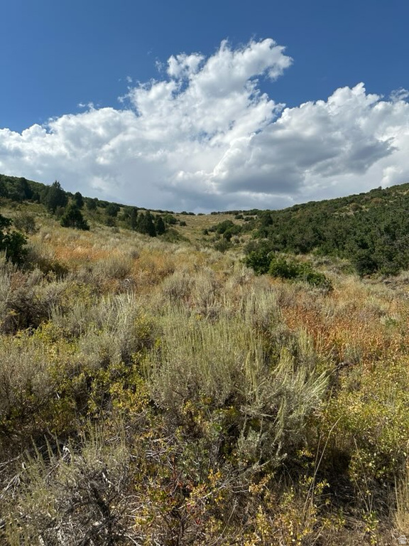WOODLAND VIEW DR DR Woodland, UT 84036