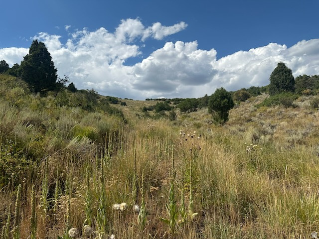 WOODLAND VIEW DR DR Woodland, UT 84036
