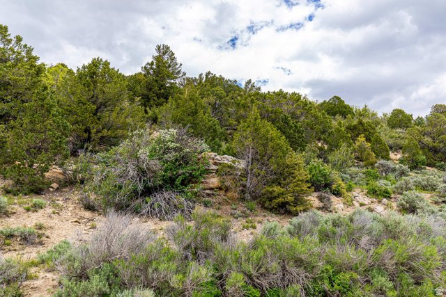 2185 CRESTRIDGE RD #51 #51 Salina, UT 84654