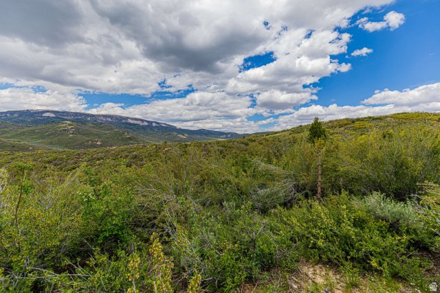 2185 CRESTRIDGE RD #51 #51 Salina, UT 84654