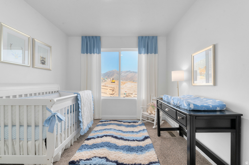 1893 E CORRIENTE DR #1175 Salem, UT 84653