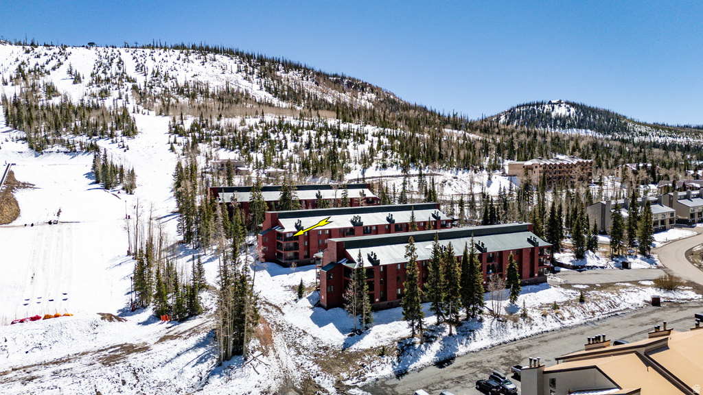 407 VASELS RD #51 Brian Head, UT 84719