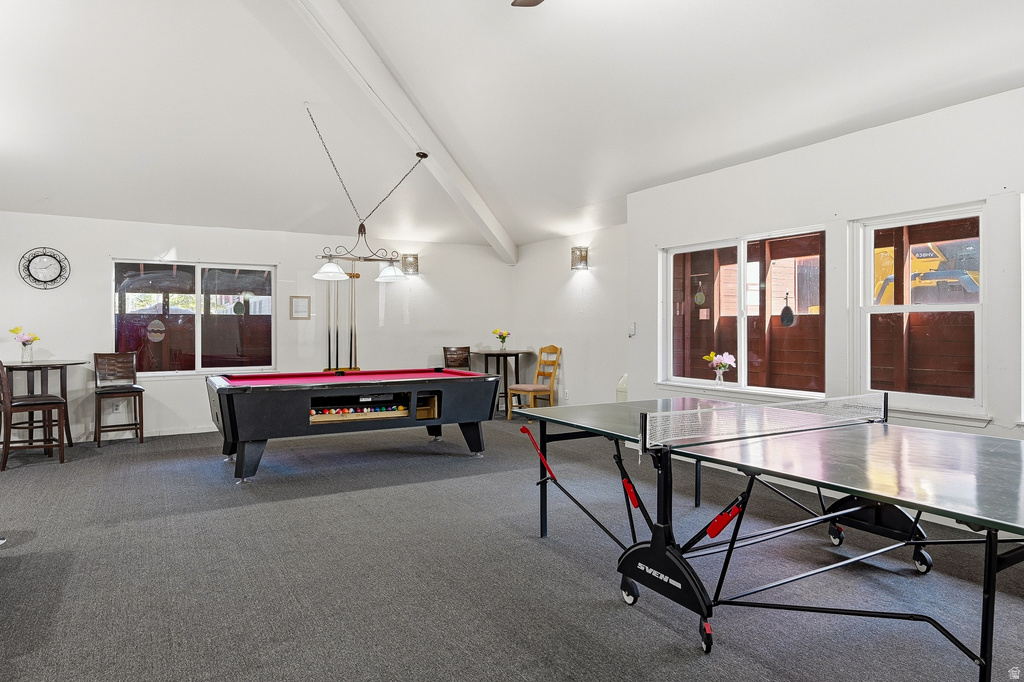 407 VASELS RD #51 Brian Head, UT 84719