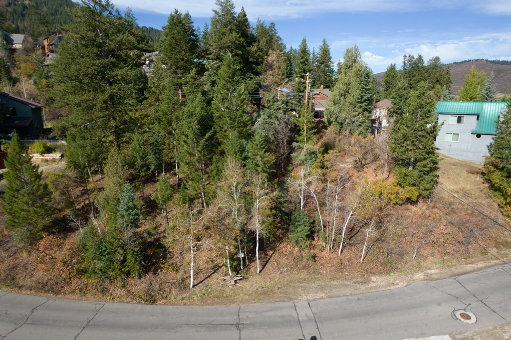 290  ST MORITZ STRASSE Park City, UT 84098