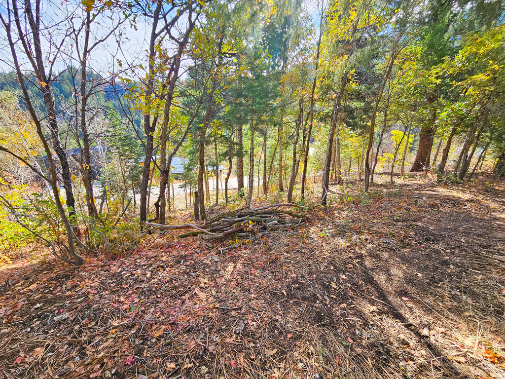 290  ST MORITZ STRASSE Park City, UT 84098