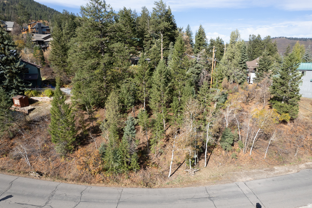 290  ST MORITZ STRASSE Park City, UT 84098