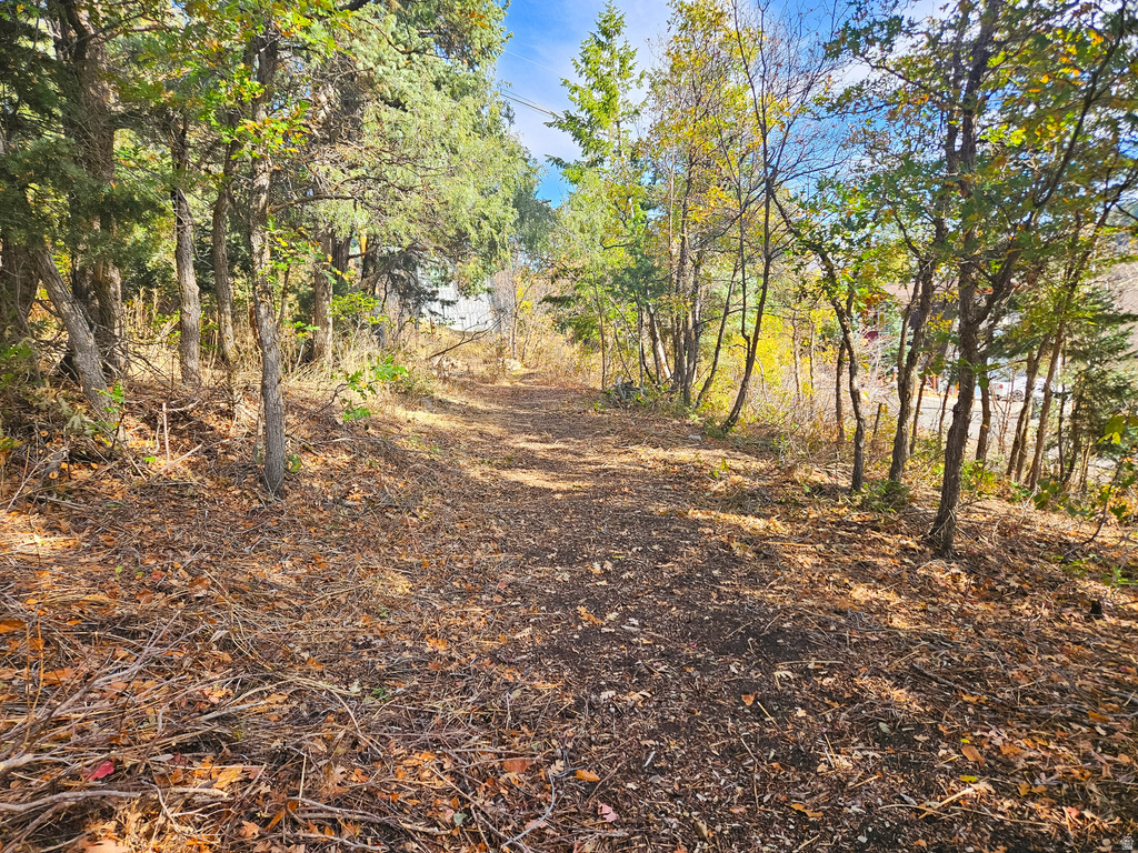 290  ST MORITZ STRASSE Park City, UT 84098