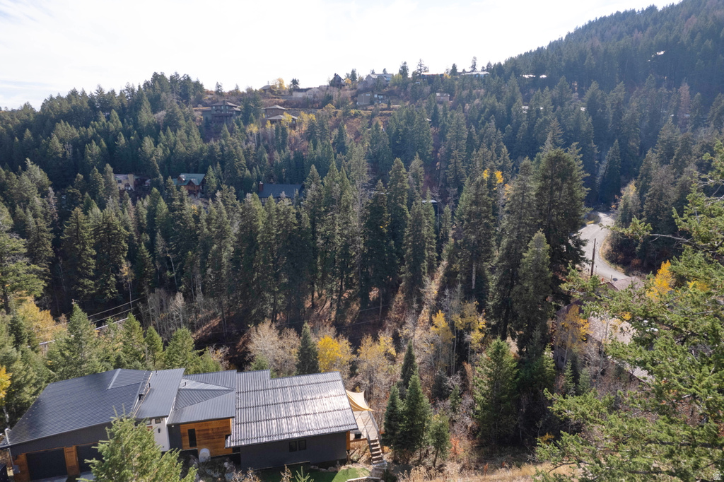 290  ST MORITZ STRASSE Park City, UT 84098