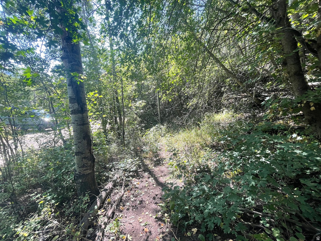 10337 N RIVER RD Oakley, UT 84055