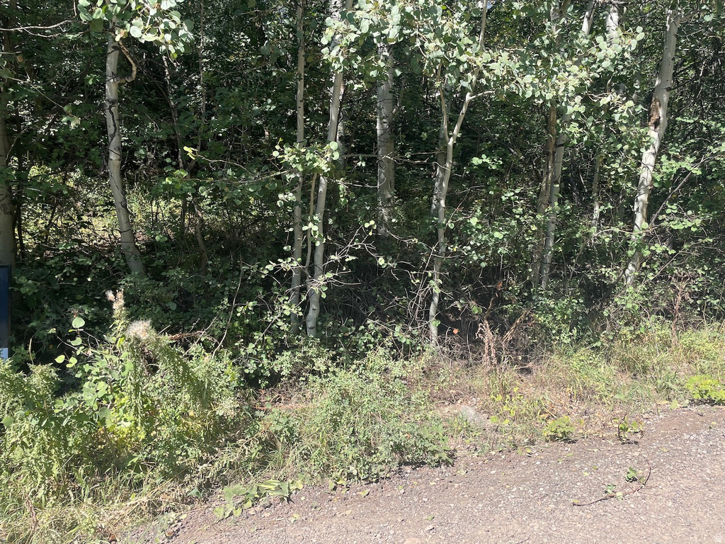 10337 N RIVER RD Oakley, UT 84055
