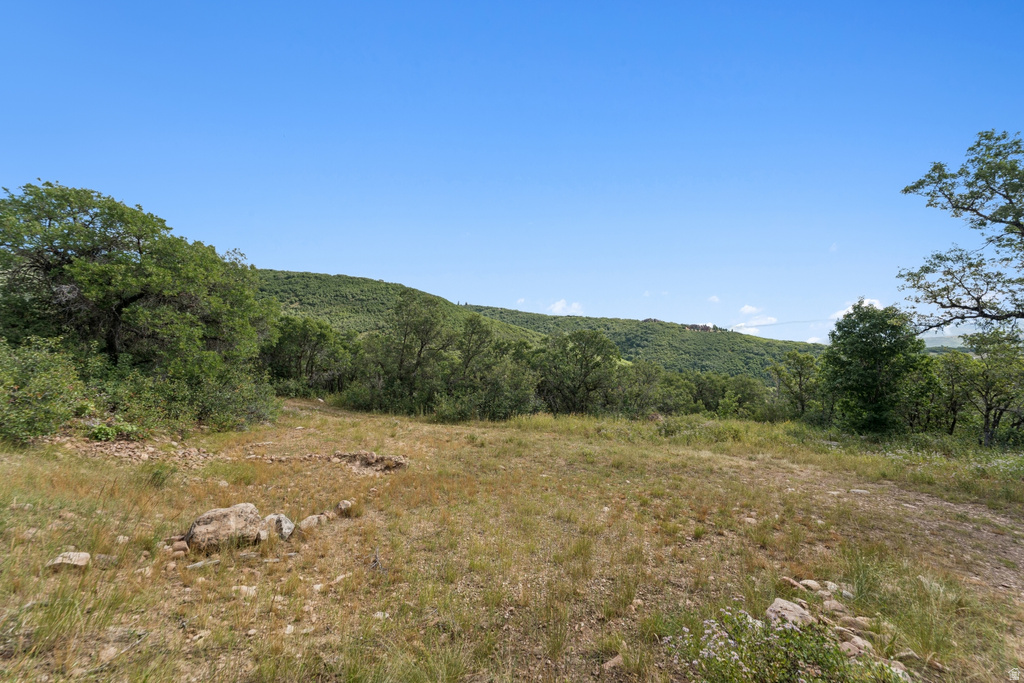 1237 LOWER COVE RD Park City, UT 84098