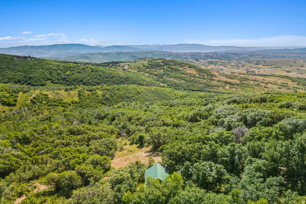 1237 LOWER COVE RD Park City, UT 84098