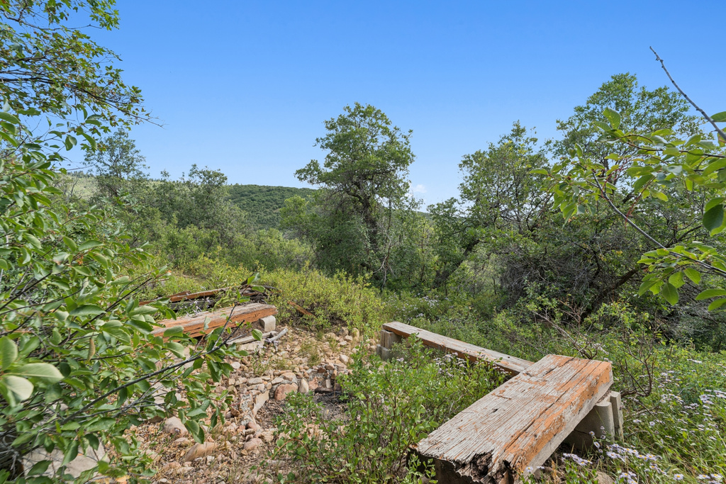 1237 LOWER COVE RD Park City, UT 84098