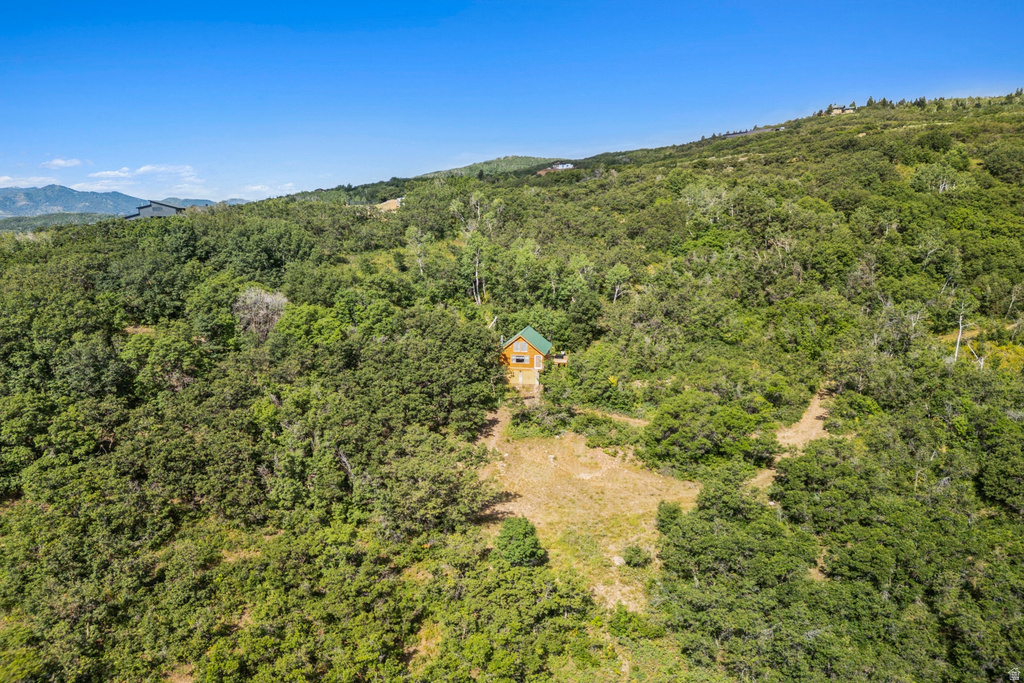 1237 LOWER COVE RD Park City, UT 84098
