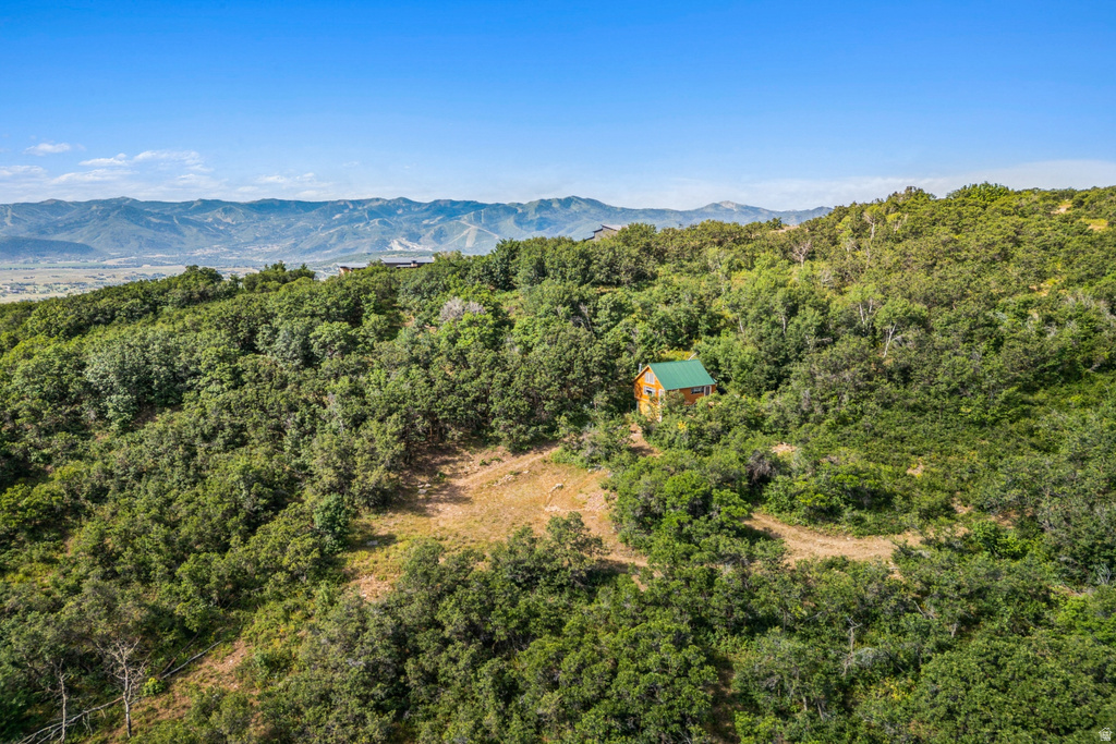1237 LOWER COVE RD Park City, UT 84098