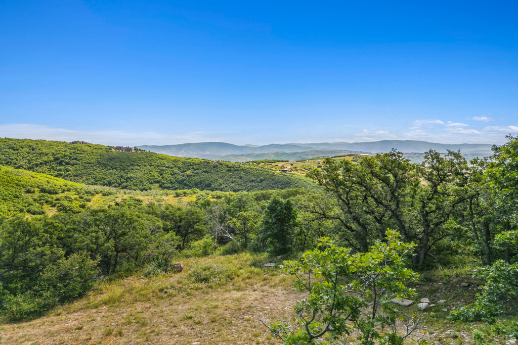 1237 LOWER COVE RD Park City, UT 84098