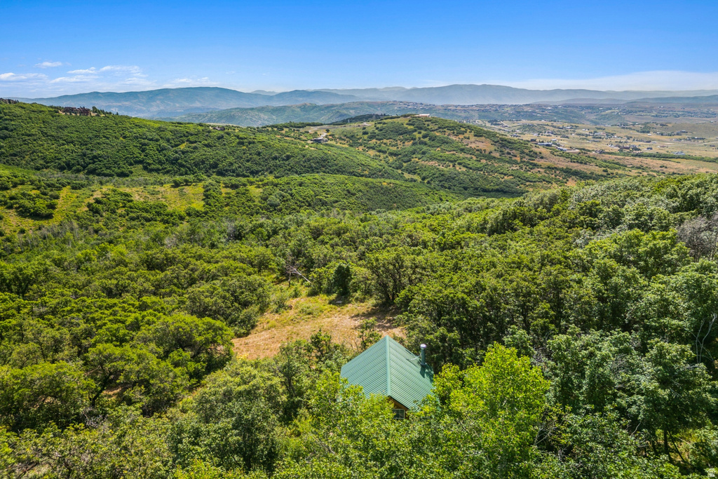 1237 LOWER COVE RD Park City, UT 84098
