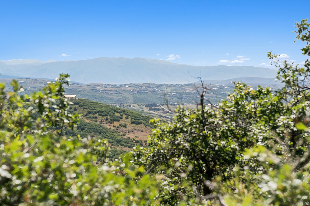 1237 LOWER COVE RD Park City, UT 84098