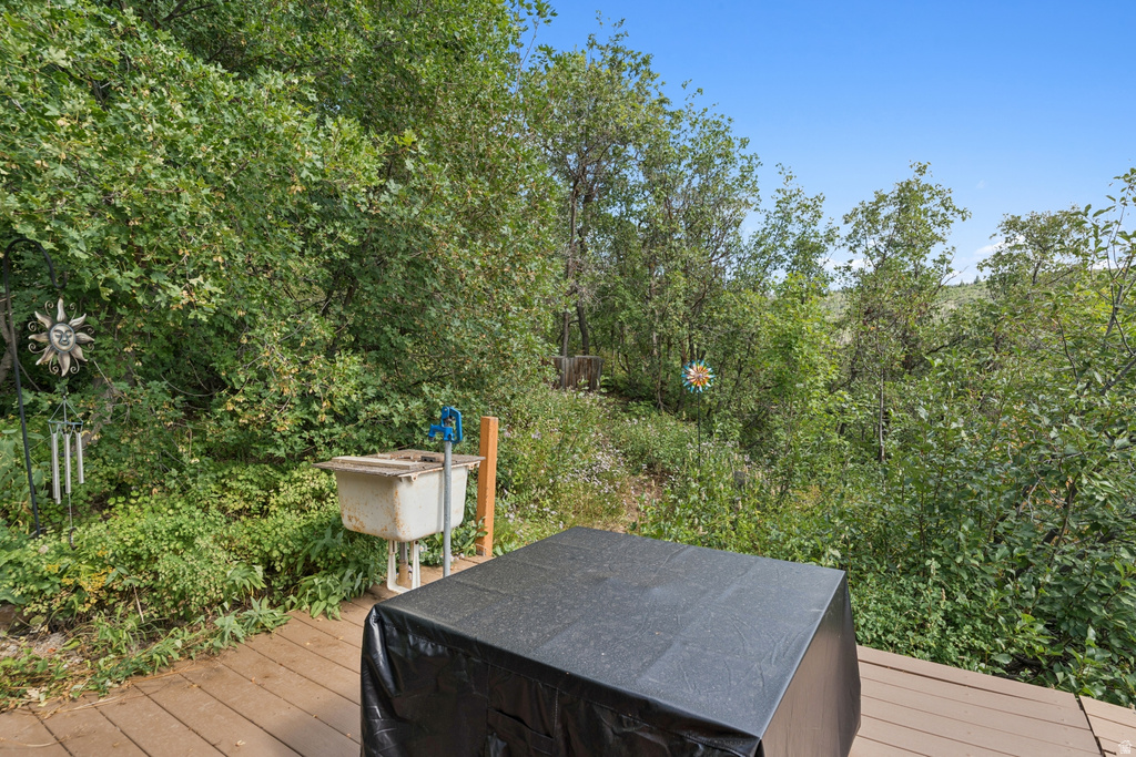 1237 LOWER COVE RD Park City, UT 84098