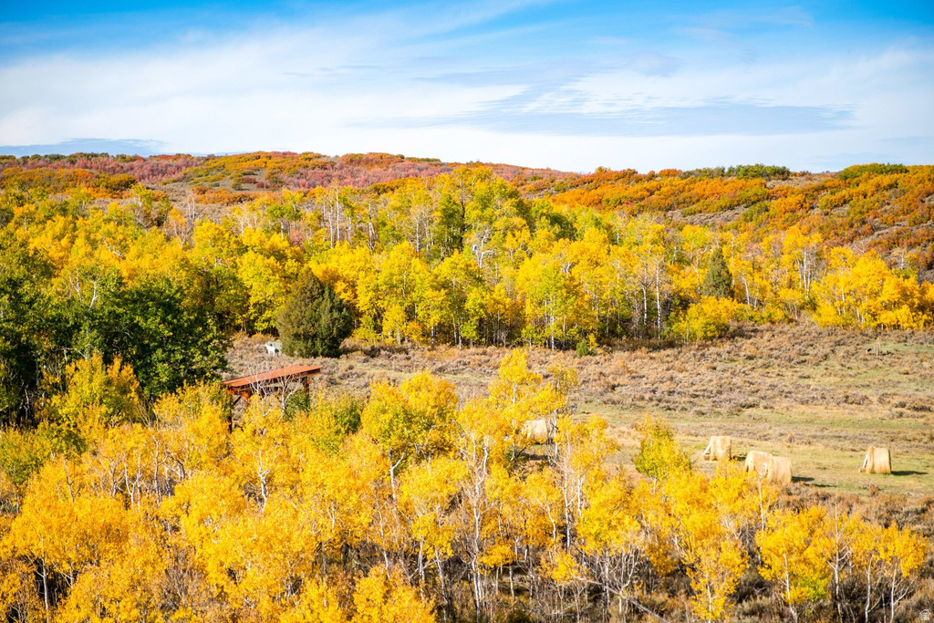 6519 N MOON RISE WAY Heber City, UT 84032