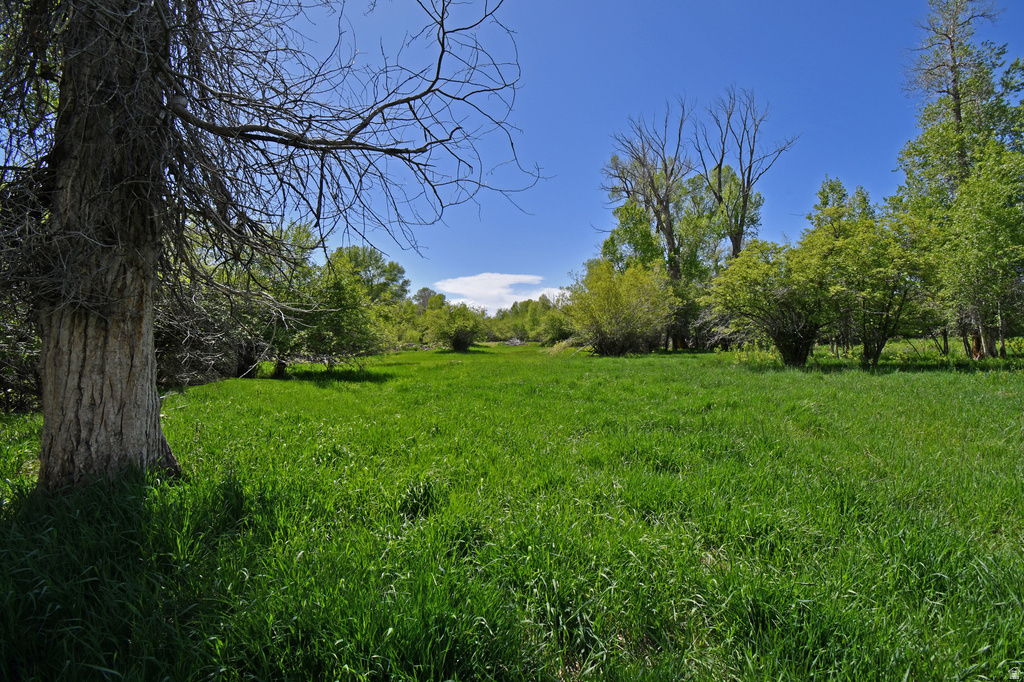 4347 S BECNH CREEK RD Oakley, UT 84055