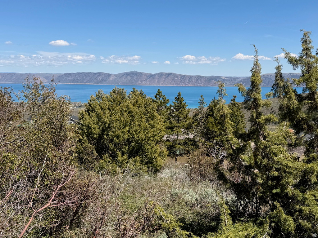 918  LAKEVIEW DR Garden City, UT 84028