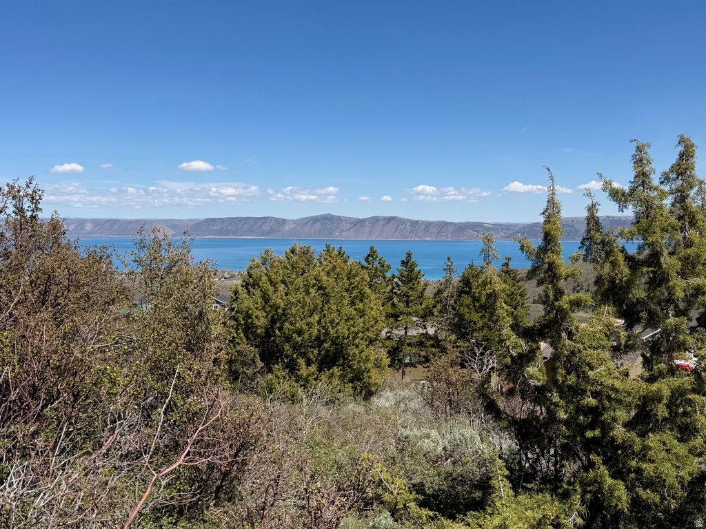 918  LAKEVIEW DR Garden City, UT 84028
