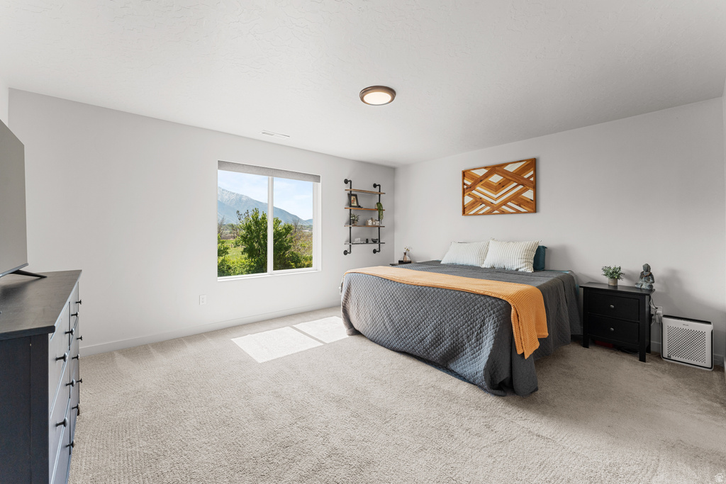 805 S SPRING CANYON WAY Springville, UT 84663