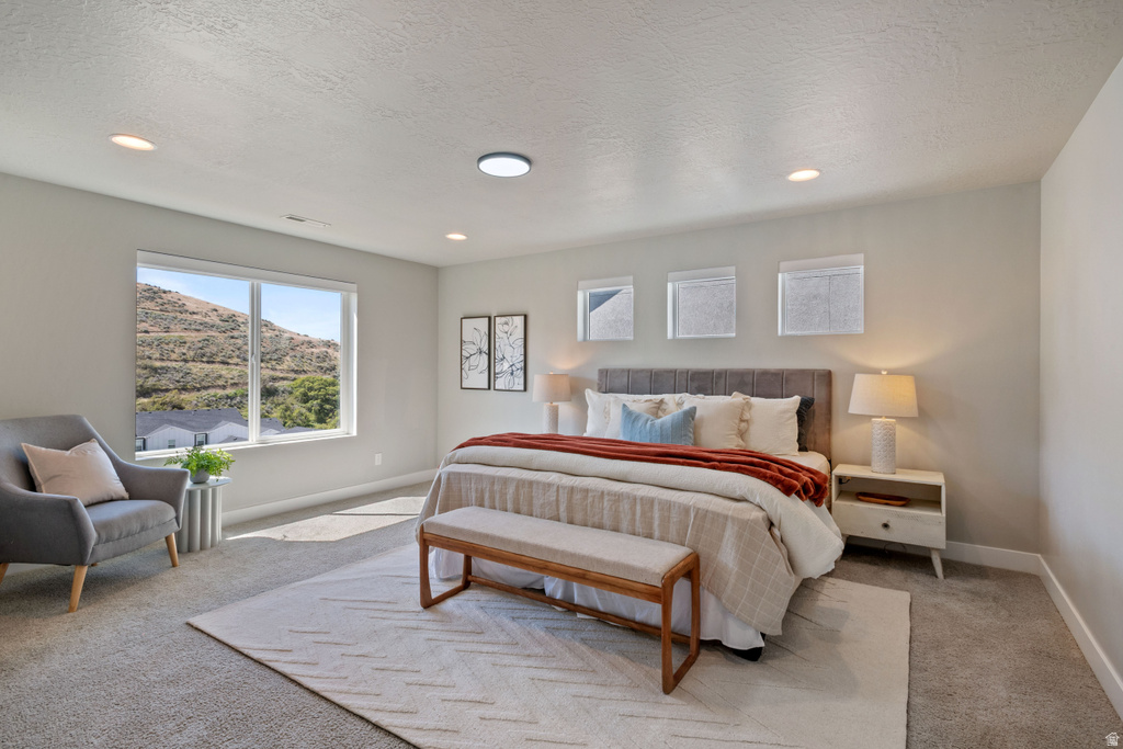 2101 W NORTHRIDGE DR #8 Lehi, UT 84043