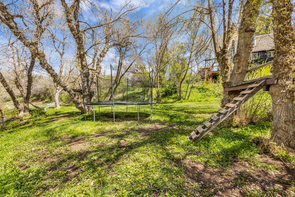 4265 S TAMMY LN Daniel, UT 84032
