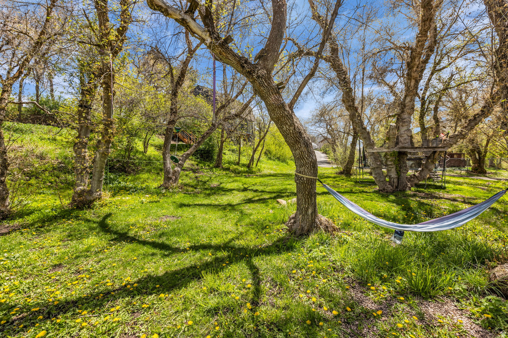 4265 S TAMMY LN Daniel, UT 84032