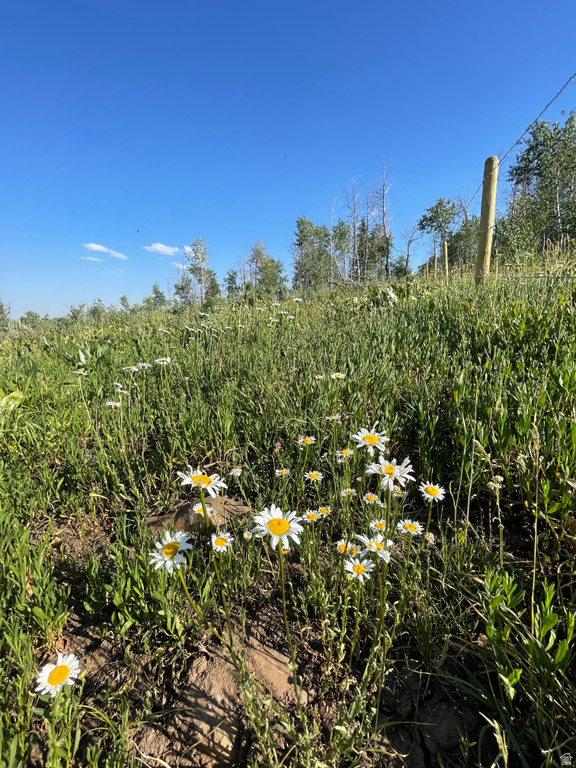 300  MAGGI RD Montpelier, ID 83254