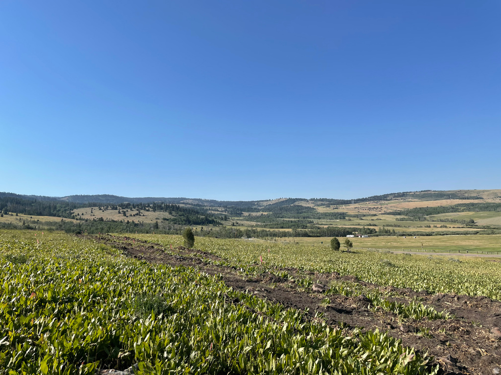 400  MAGGI RD Montpelier, ID 83254